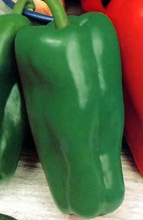 Pepper-cantora-type