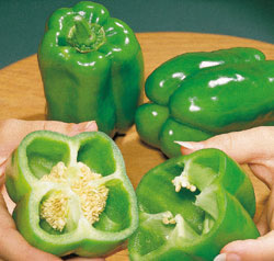 pepper-sweet-gisele