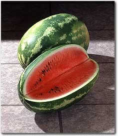 watermelon-allsweet-em-296